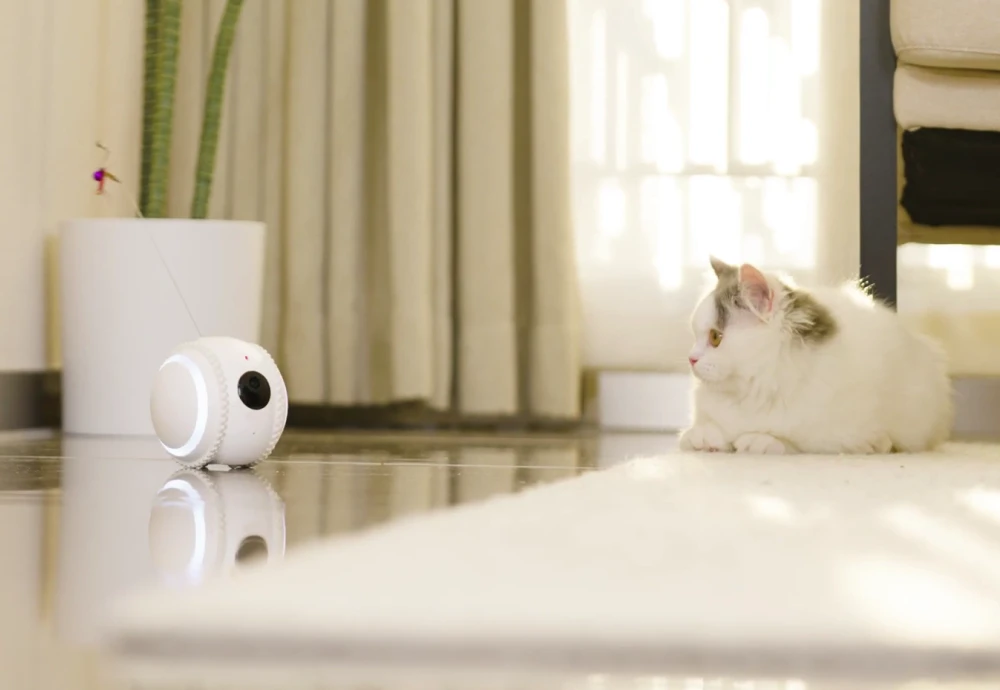 camera to watch pets while away