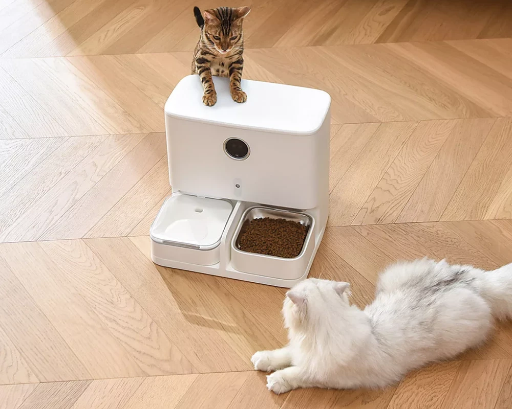 programmable automatic pet feeder