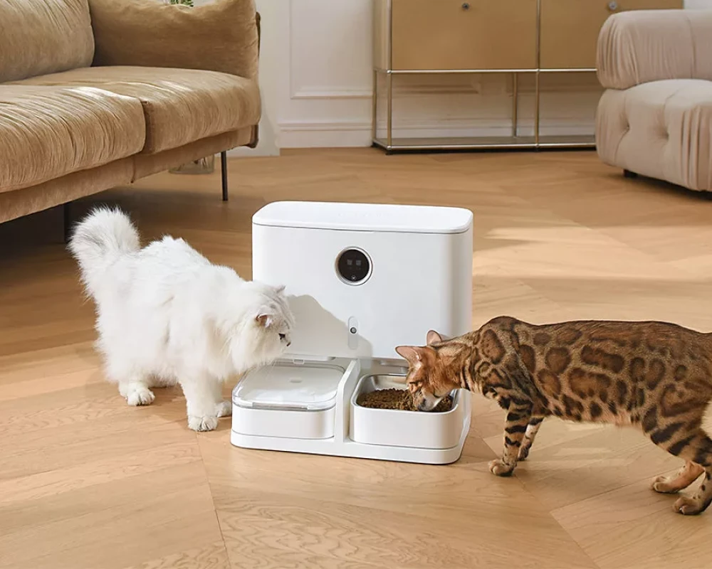 pet automatic water feeder