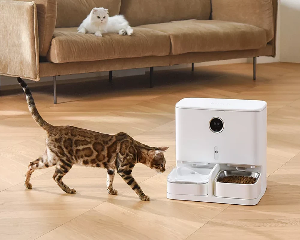 pet food dispensers