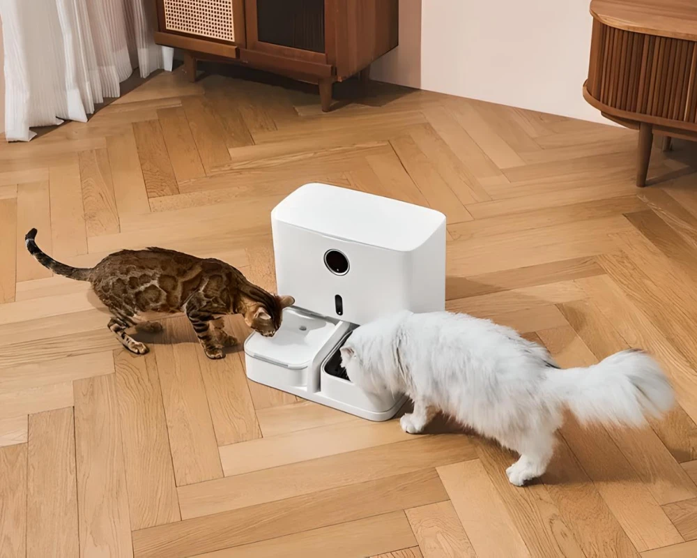 automatic water feeder dogs