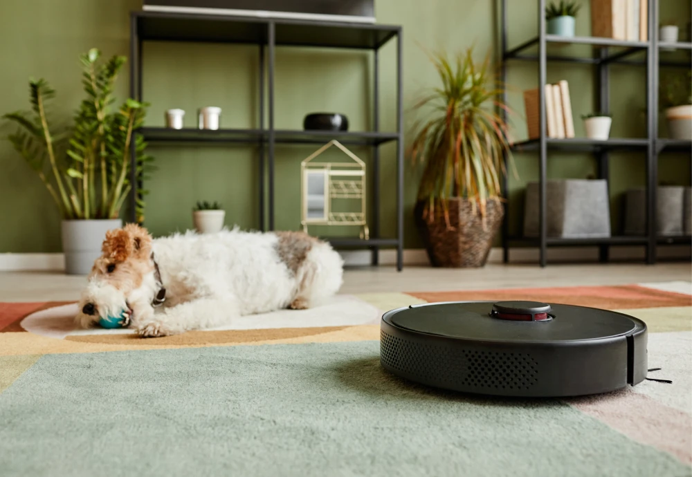 self cleaning mop and vacuum robot